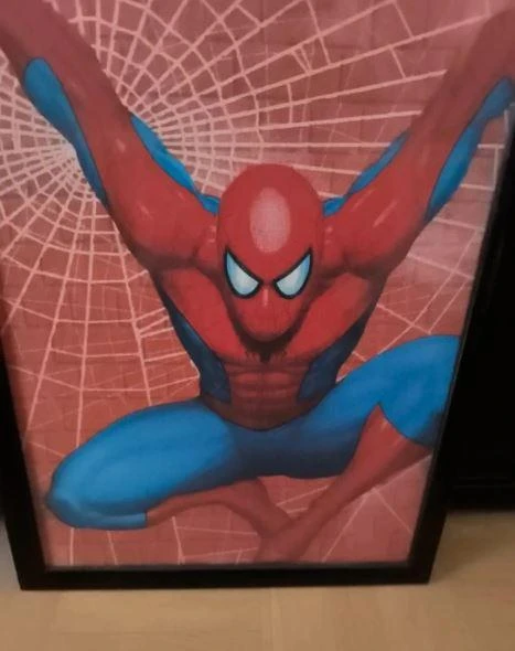 Spiderman effigie frame 30x40 cm – photo 3